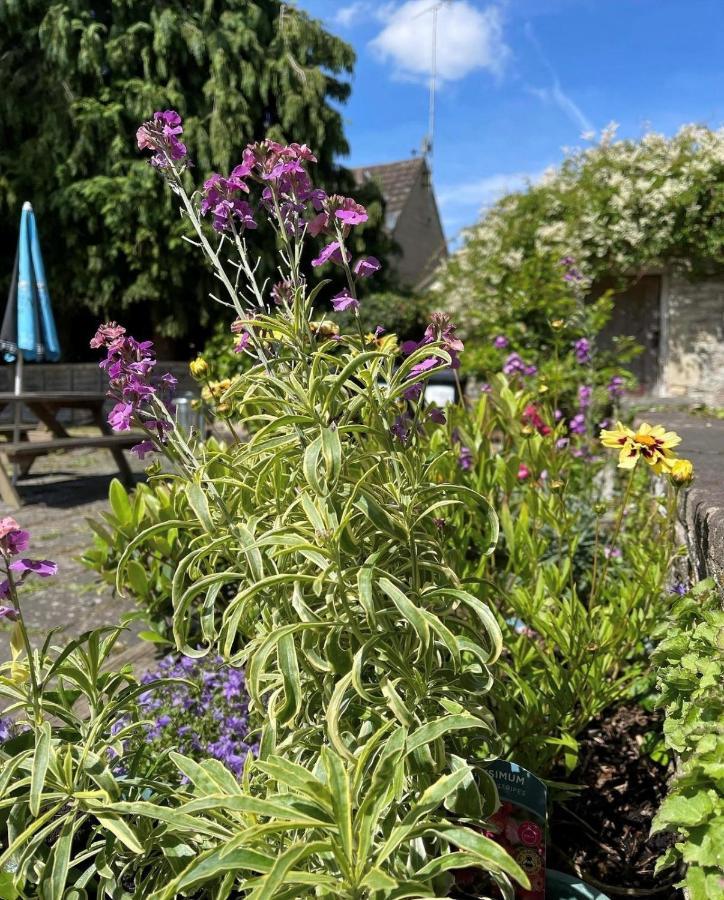 The Bell At Old Sodbury Hotel Chipping Sodbury Exterior foto